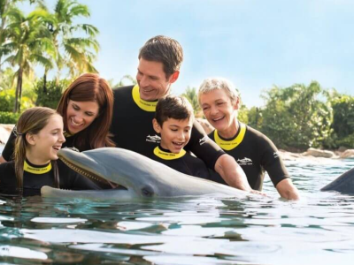 Como é visitar o Discovery Cove