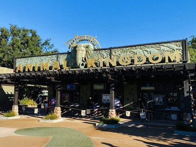 Saiba tudo sobre o Disney's Animal Kingdom Park!