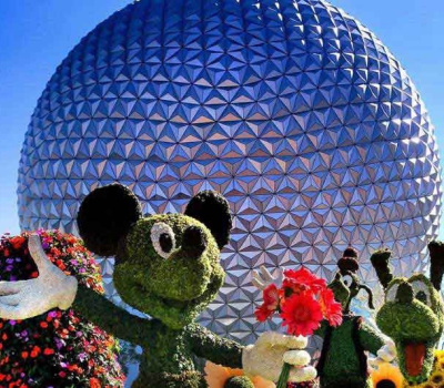 WALT DISNEY WORLD COM DATA PREDETERMINADA